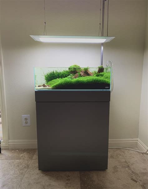 The best use for it is in a quarantine tank to suck up nitrate or in a tank you have set up for fry. . R plantedtank